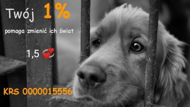 KRS: 0000015556